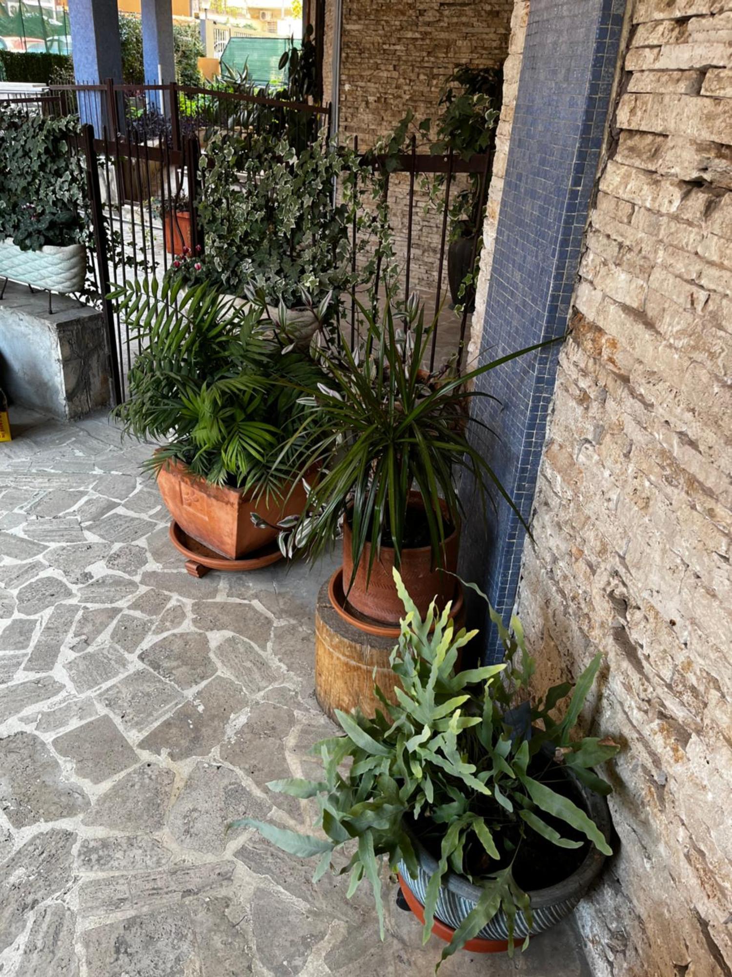 Casetta Romana Appartamento *